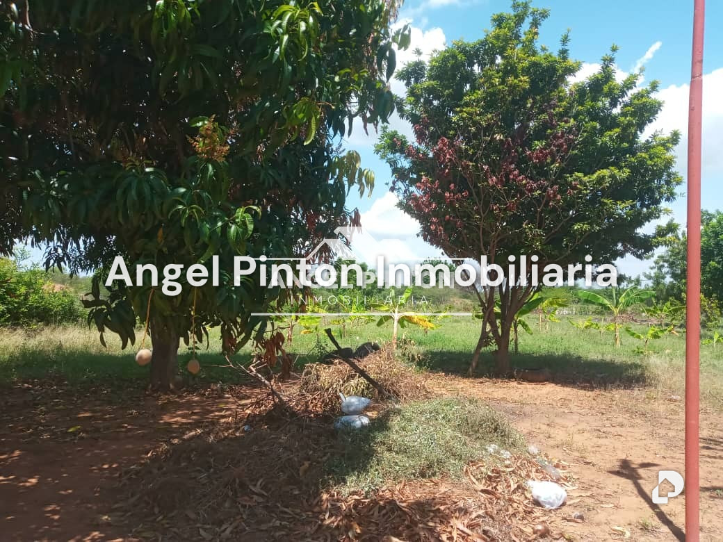 Finca en El Palotal, Maracaibo – 4