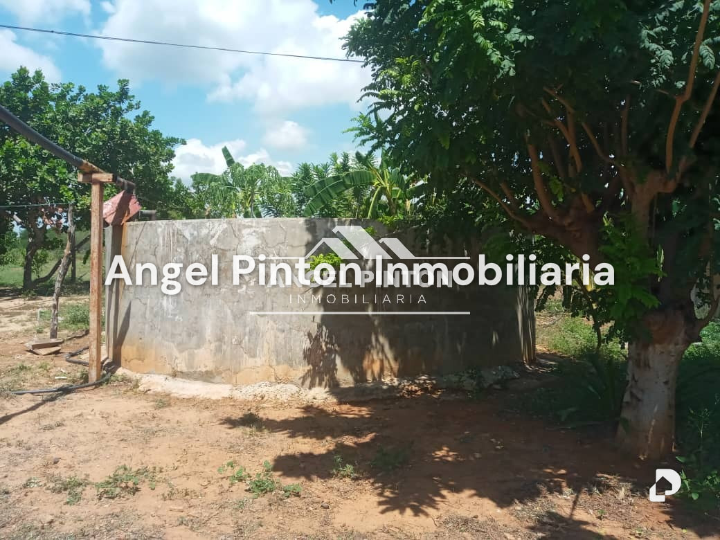 Finca en El Palotal, Maracaibo – 6
