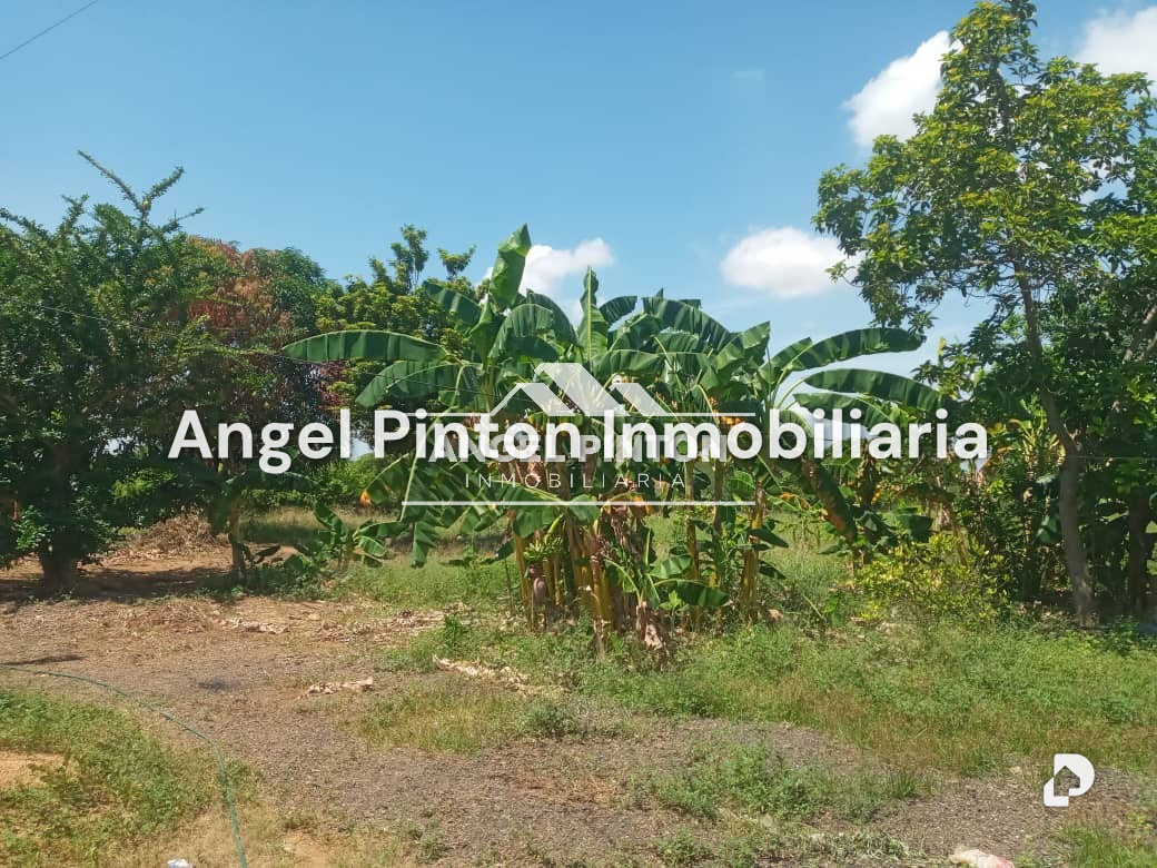 Finca en El Palotal, Maracaibo – 5