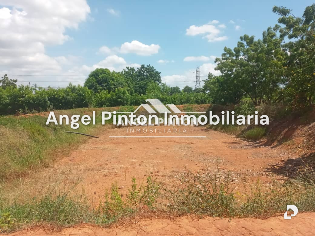 Finca en El Palotal, Maracaibo – 9