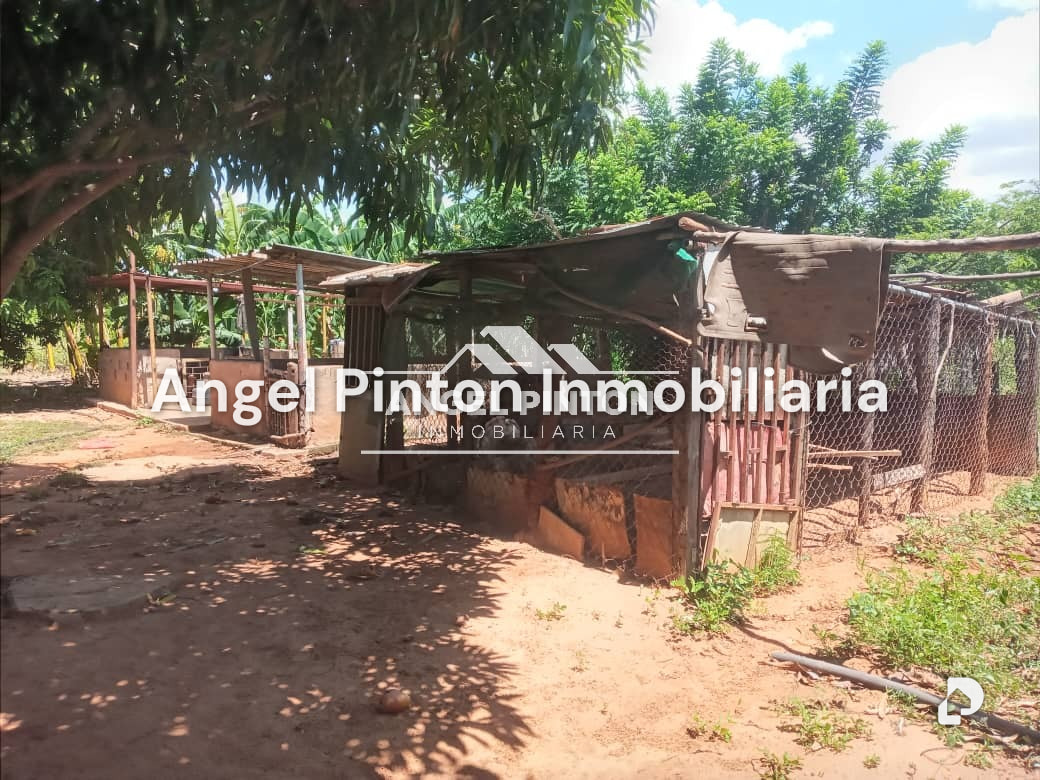 Finca en El Palotal, Maracaibo – 8
