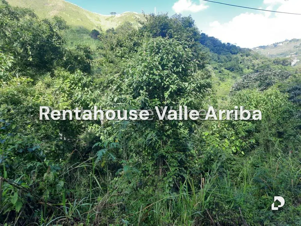 Terreno en Los Robles, Caracas – 9
