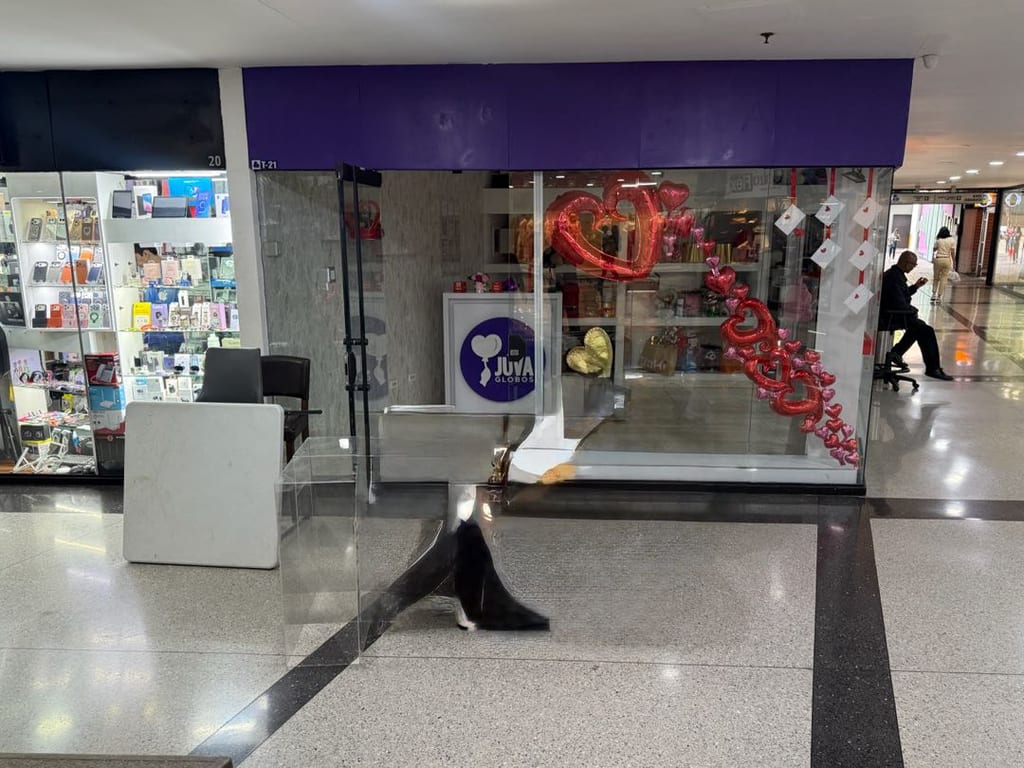 Local comercial en El Rosal, Caracas - 1