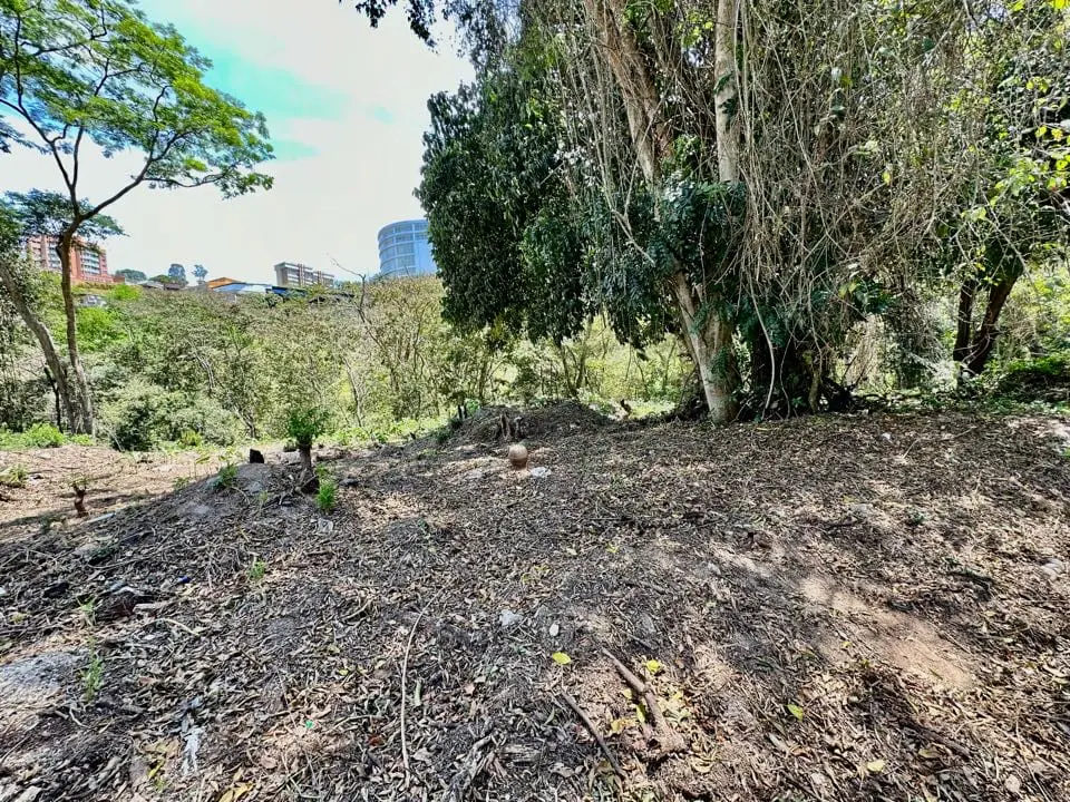 Land in Cerro Verde, Caracas - 1