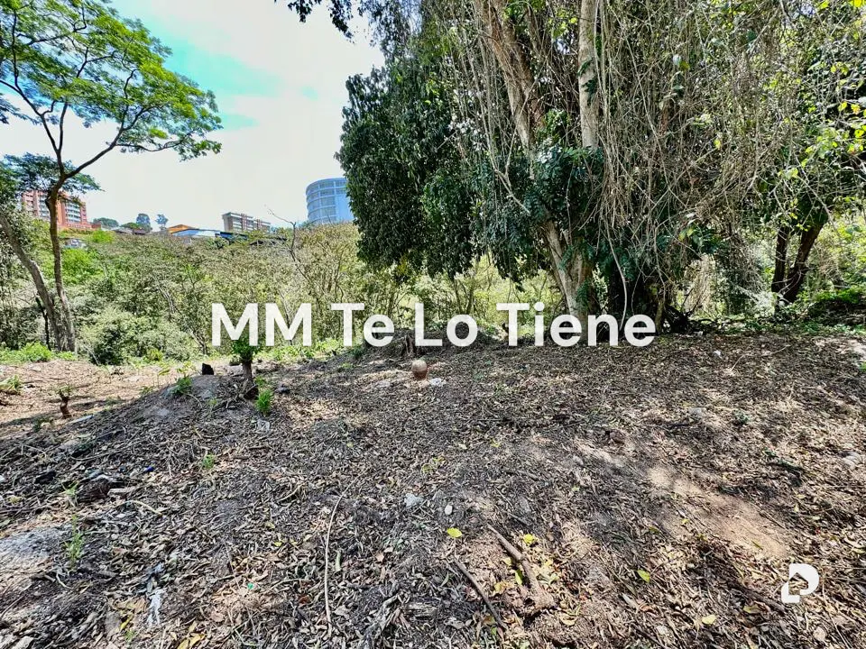 Terreno en Cerro Verde, Caracas – 1