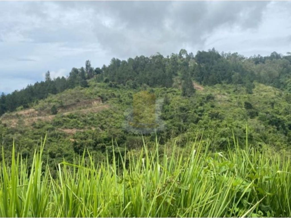 Terreno en Baruta