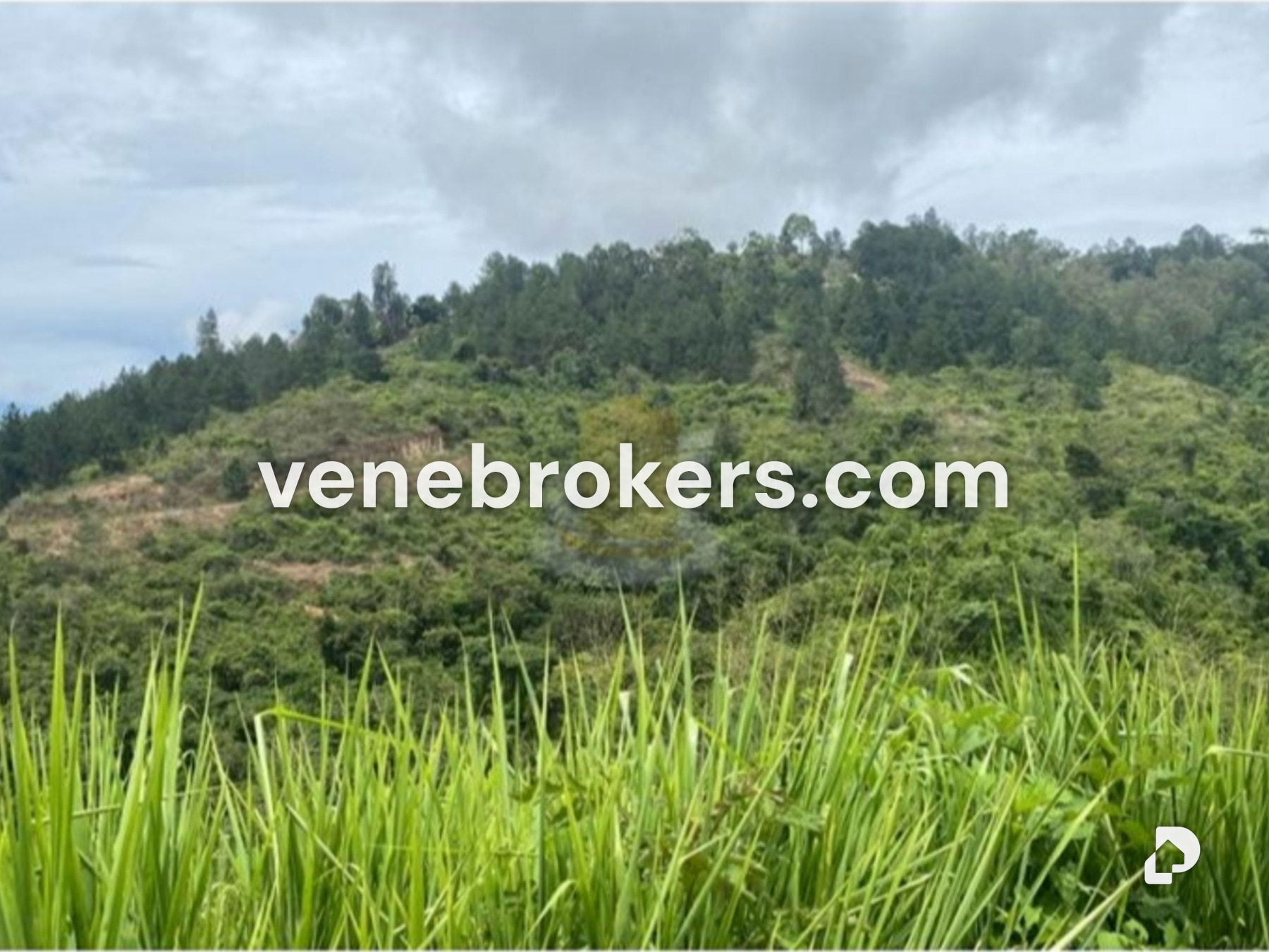 Terreno en Los Samanes, Baruta – 1