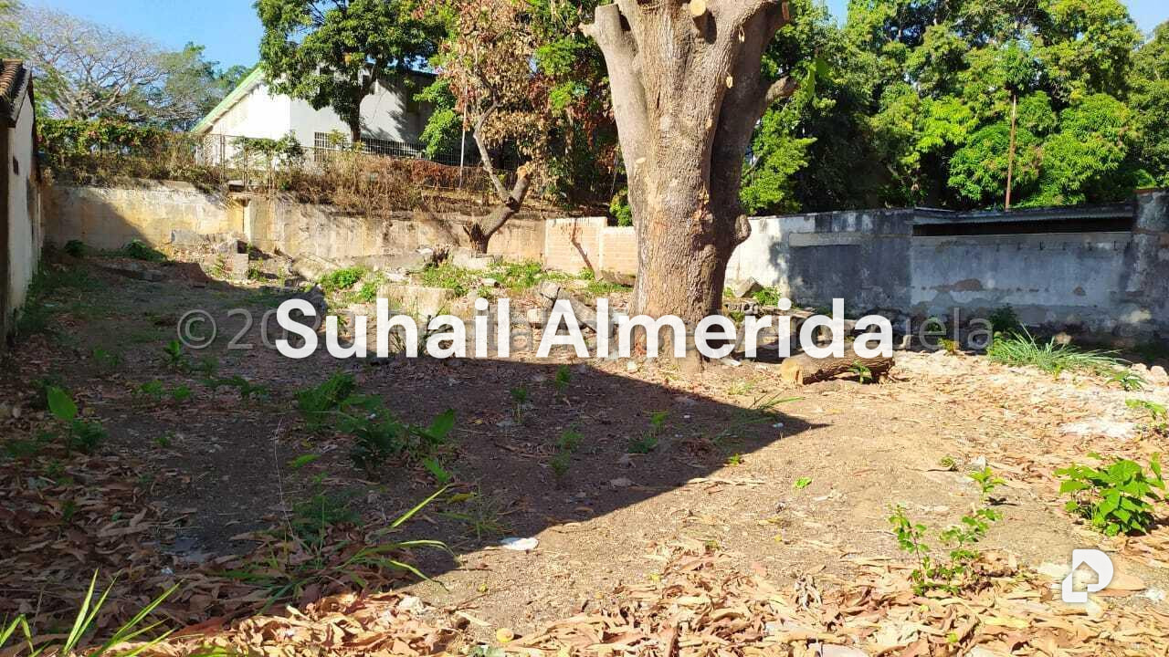 Terreno en La Viña, Valencia – 8