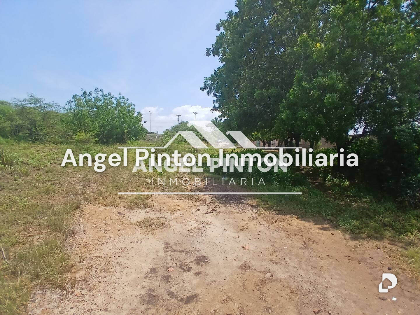 Terreno en Avenida Principal, Santa Rita – 7