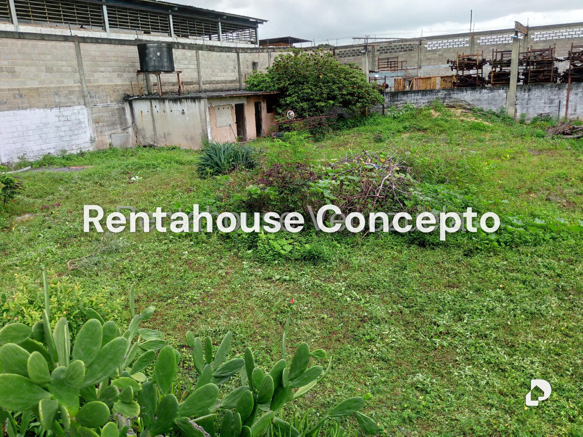 Local comercial en Lizandro Alvarado, Valencia