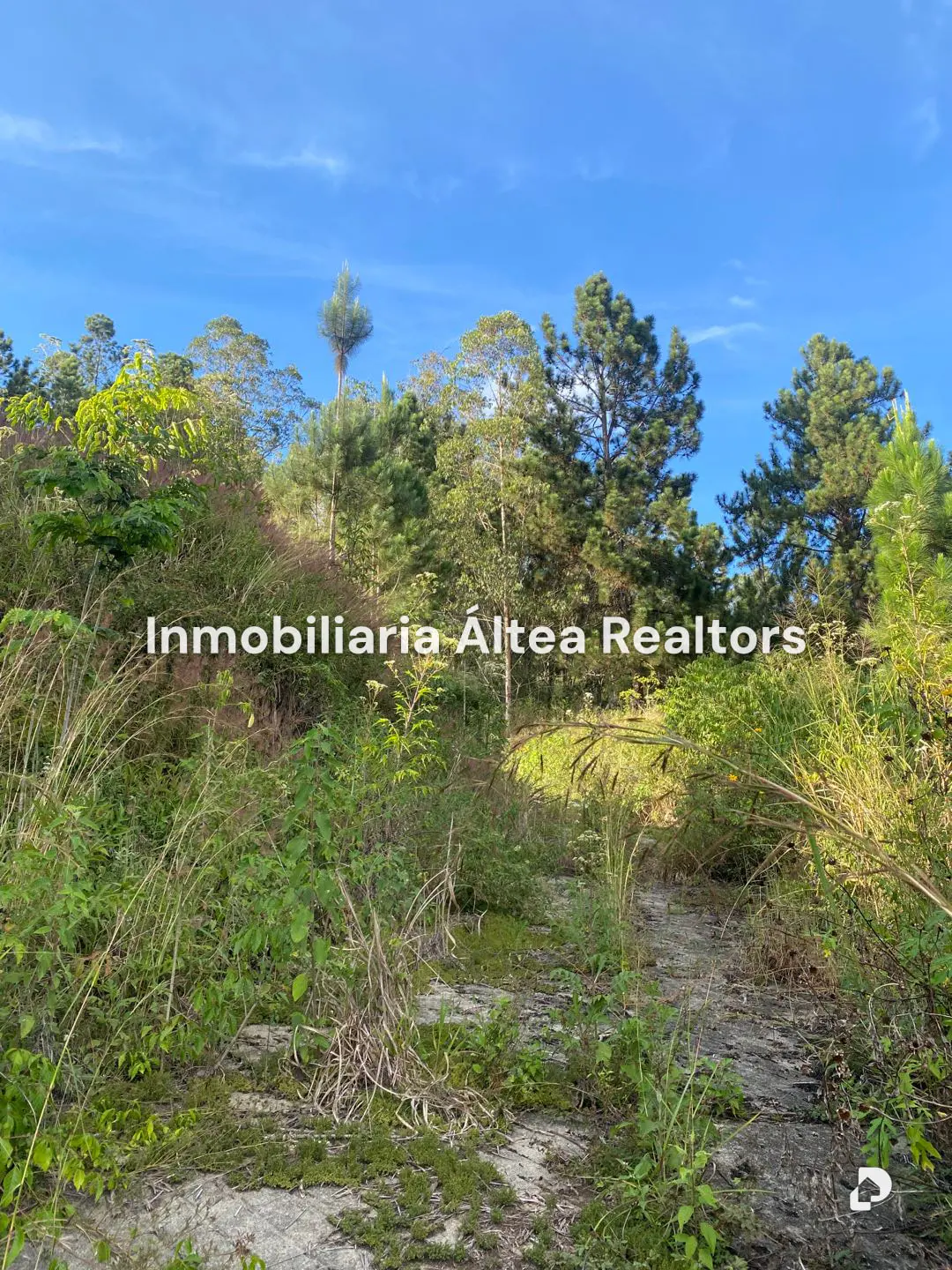 Terreno en Baruta, Caracas – 8