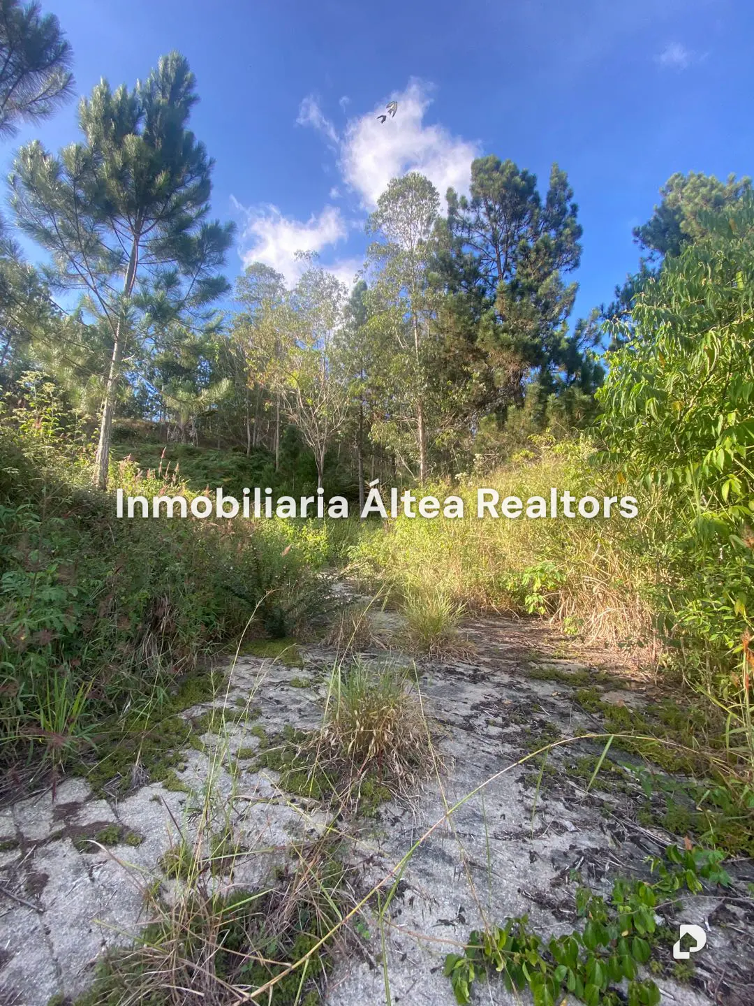 Terreno en Baruta, Caracas – 10