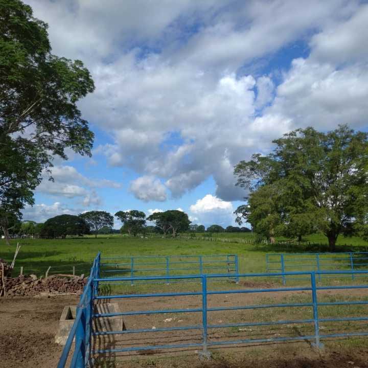 Farm in San Carlos - 1