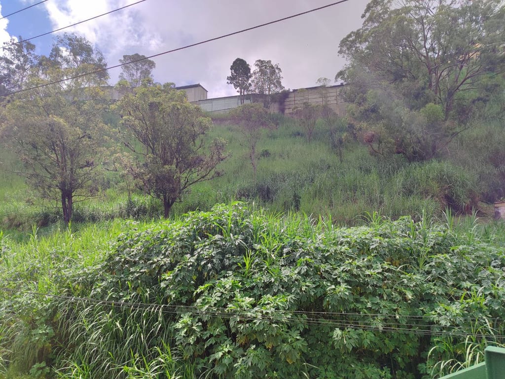 Terreno en San Antonio de Los Altos, Altos Mirandinos - 1