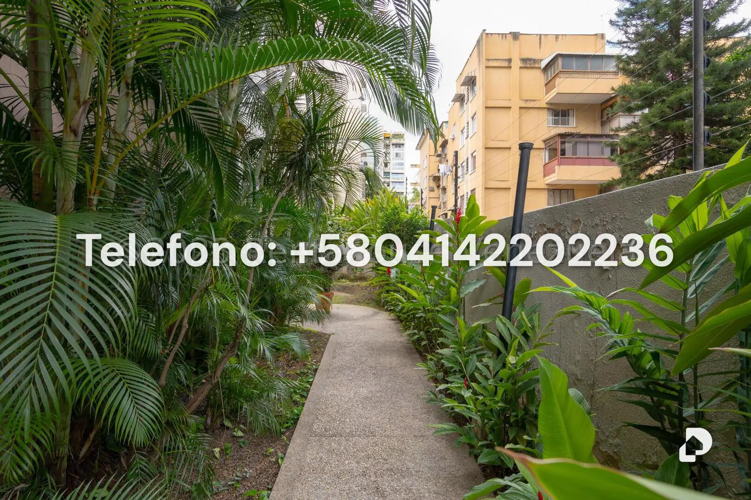 Apartamento en Los Palos Grandes, Caracas – 30