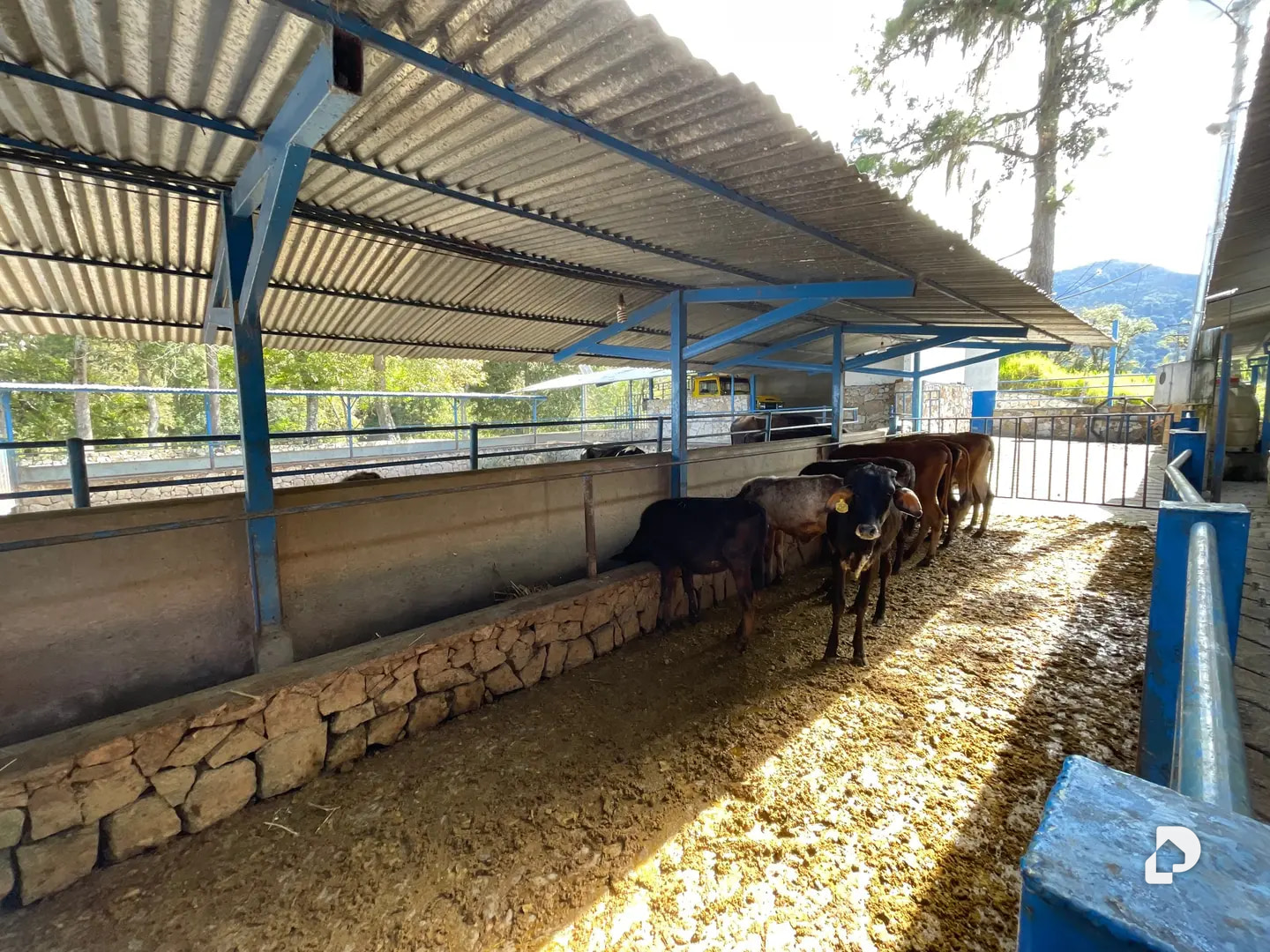 Finca en La Chorrera, Mérida – 17