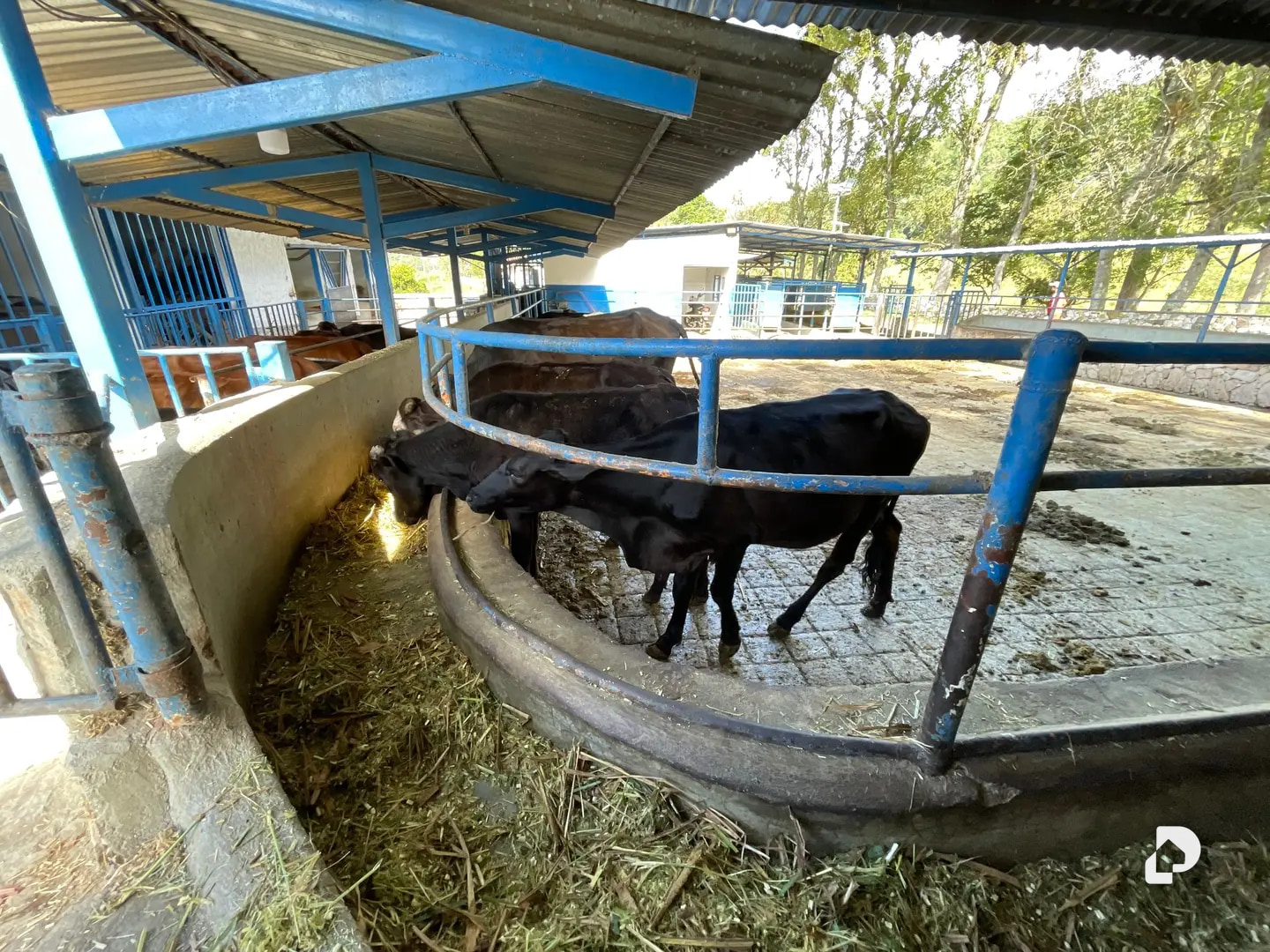Finca en La Chorrera, Mérida – 16