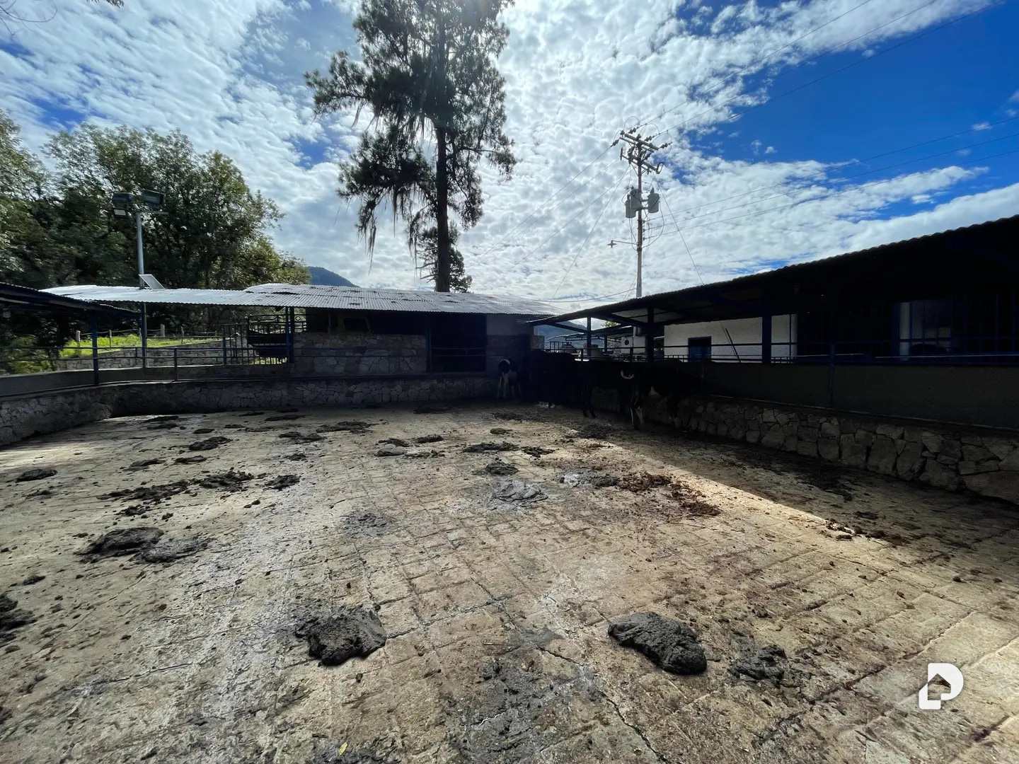 Finca en La Chorrera, Mérida – 18