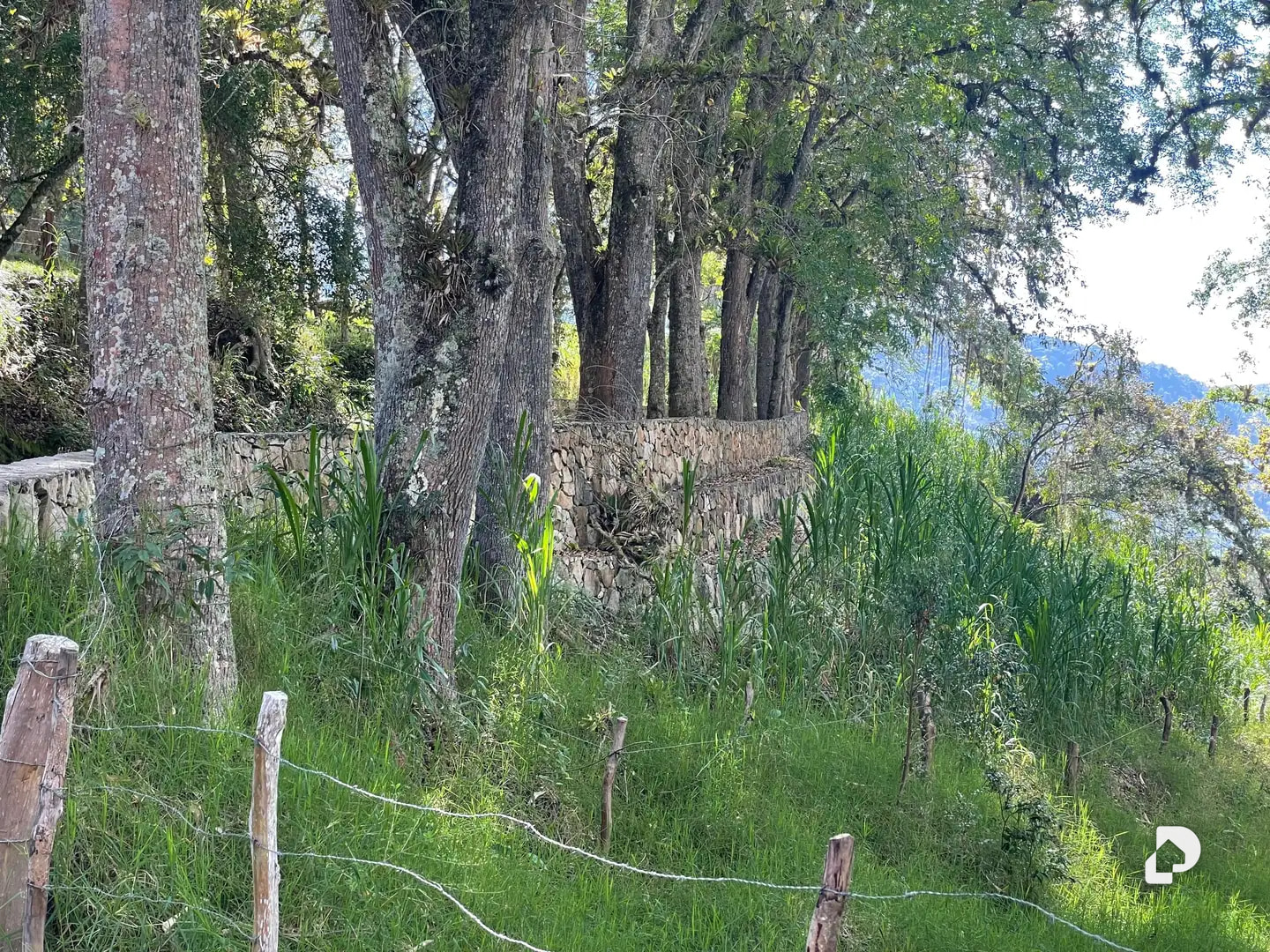 Finca en La Chorrera, Mérida – 49