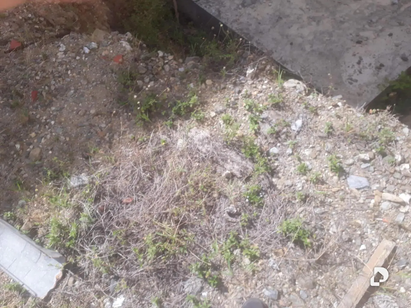 Terreno en Macuto, La Guaira