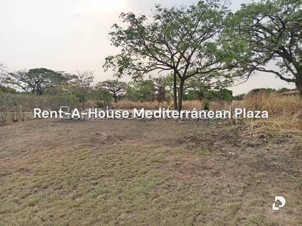 Terreno en Flor Amarillo, Valencia – 12