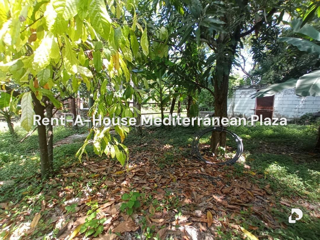 Casa en La Castellana, San Joaquín – 31