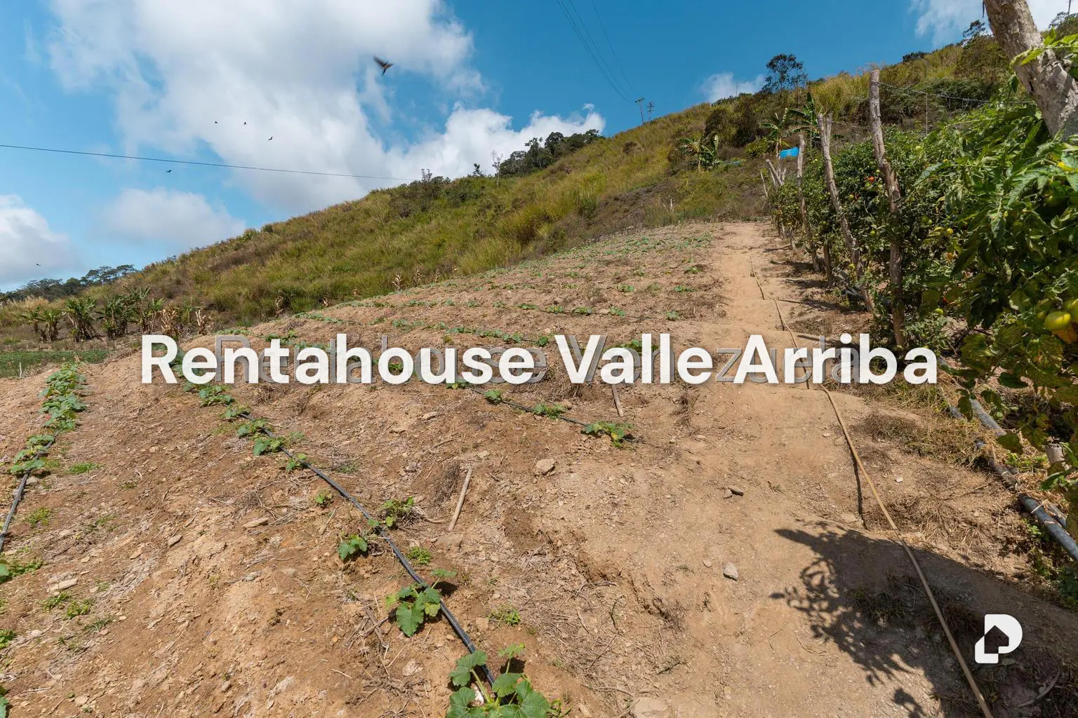 Terreno en Municipio Guaicaipuro, Los Teques – 27