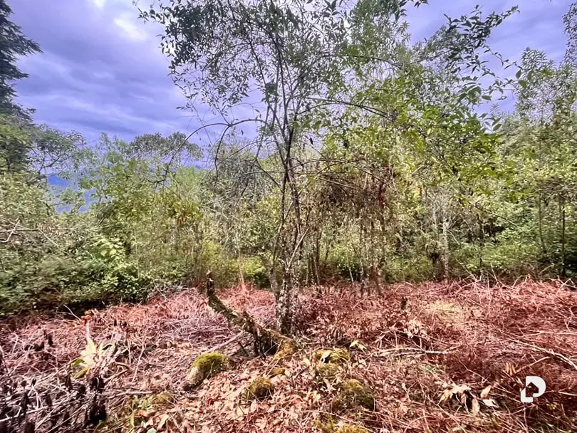 Land in Parroquia Gonzalo Picón Febres, El Valle – 11