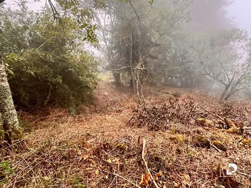 Land in Parroquia Gonzalo Picón Febres, El Valle – 7