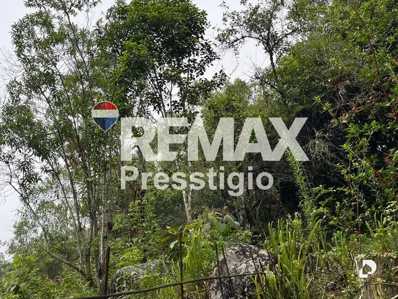 Land in Parroquia Gonzalo Picón Febres, El Valle – 3