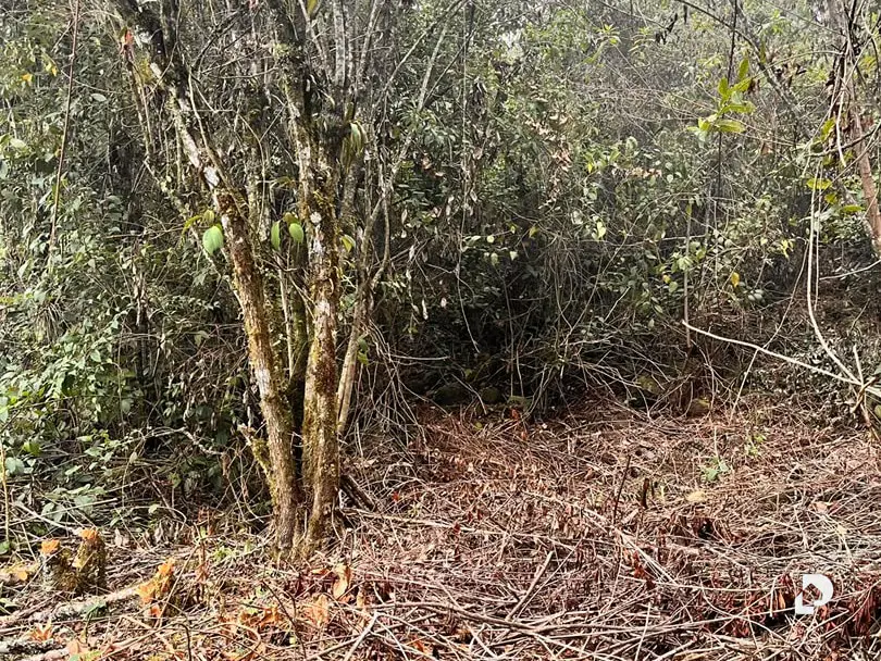 Land in Parroquia Gonzalo Picón Febres, El Valle – 5