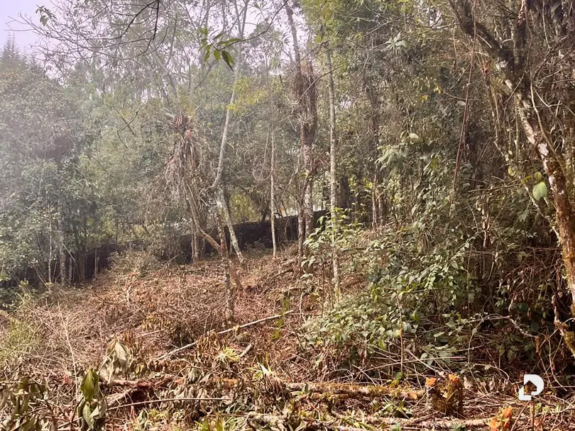 Land in Parroquia Gonzalo Picón Febres, El Valle – 6