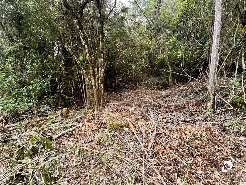 Land in Parroquia Gonzalo Picón Febres, El Valle – 8