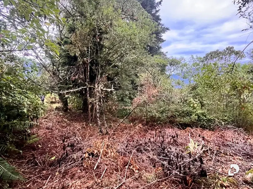 Land in Parroquia Gonzalo Picón Febres, El Valle – 10