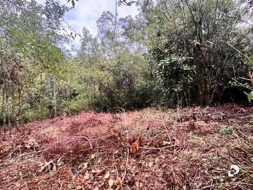 Land in Parroquia Gonzalo Picón Febres, El Valle – 9