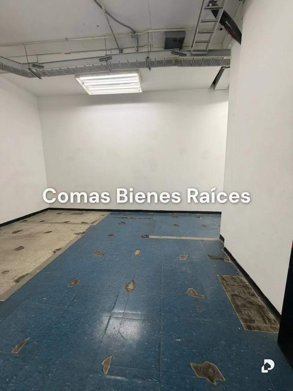 Commercial space in Los Ruices, Caracas – 2