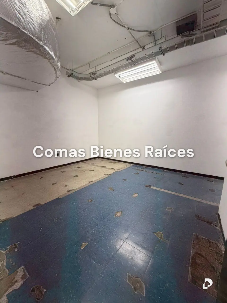 Commercial space in Los Ruices, Caracas – 1