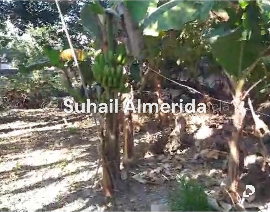Terreno en El Guayabal, Naguanagua
