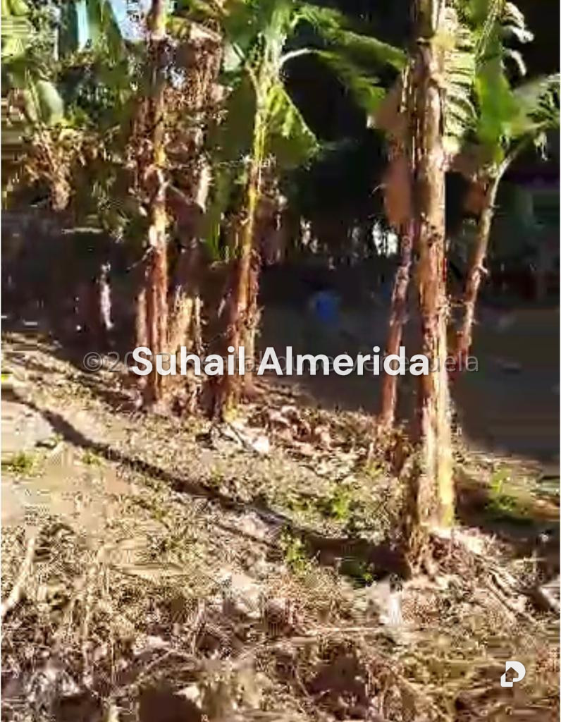 Terreno en El Guayabal, Naguanagua