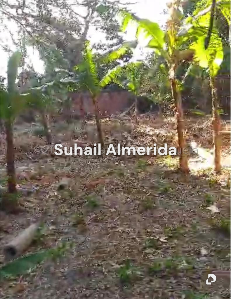 Terreno en El Guayabal, Naguanagua