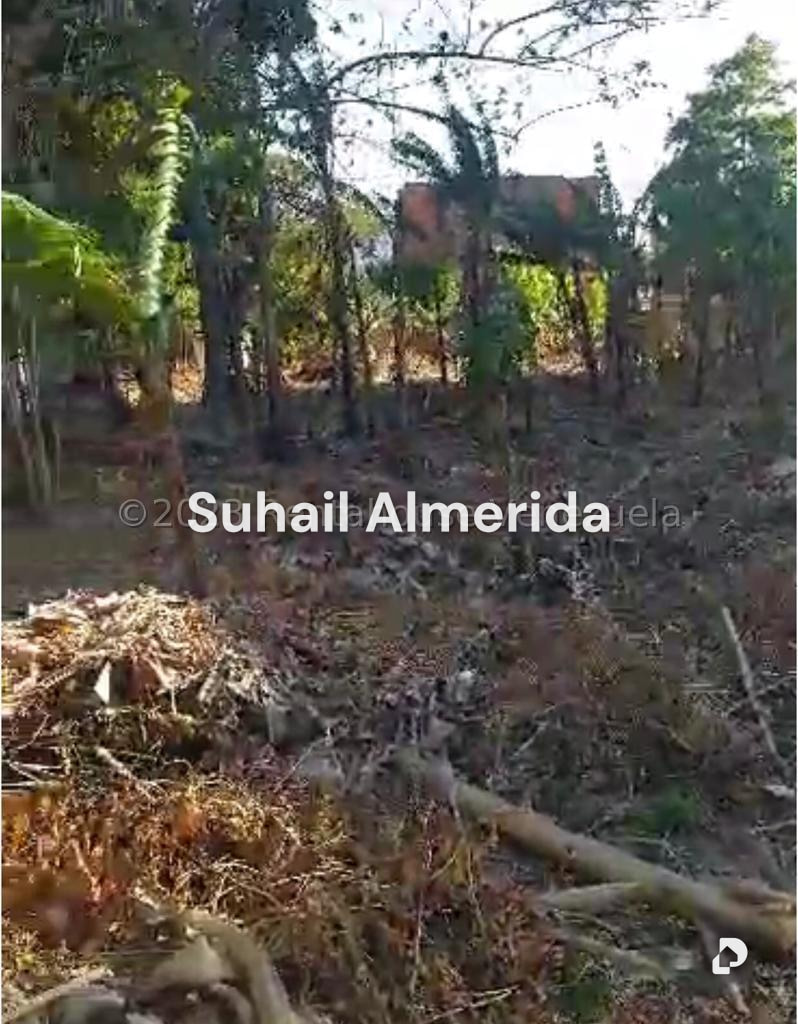 Terreno en El Guayabal, Naguanagua