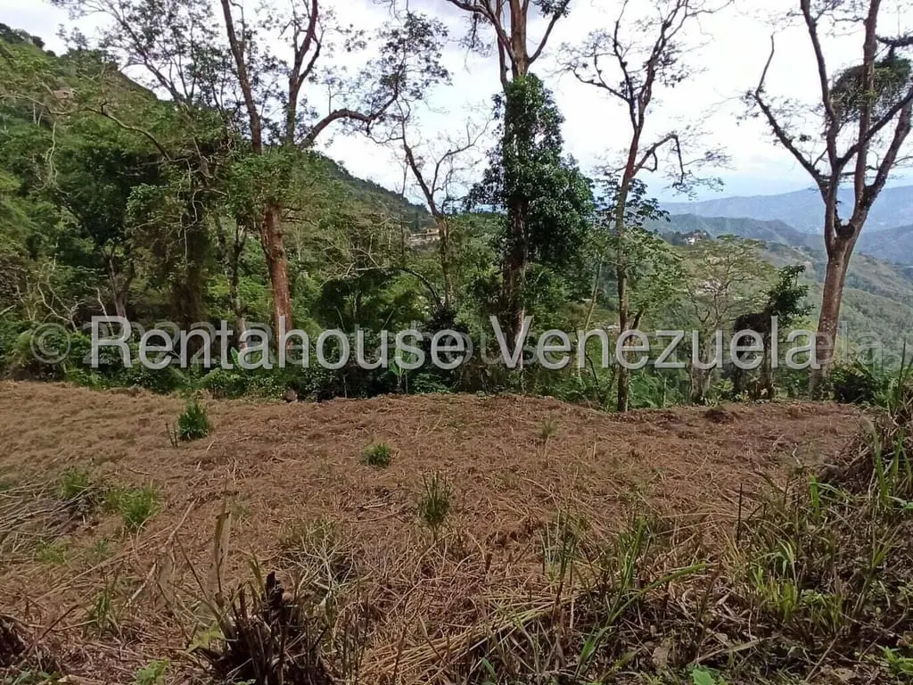 Terreno en San Diego de los Altos, San Antonio de Los Altos - 1