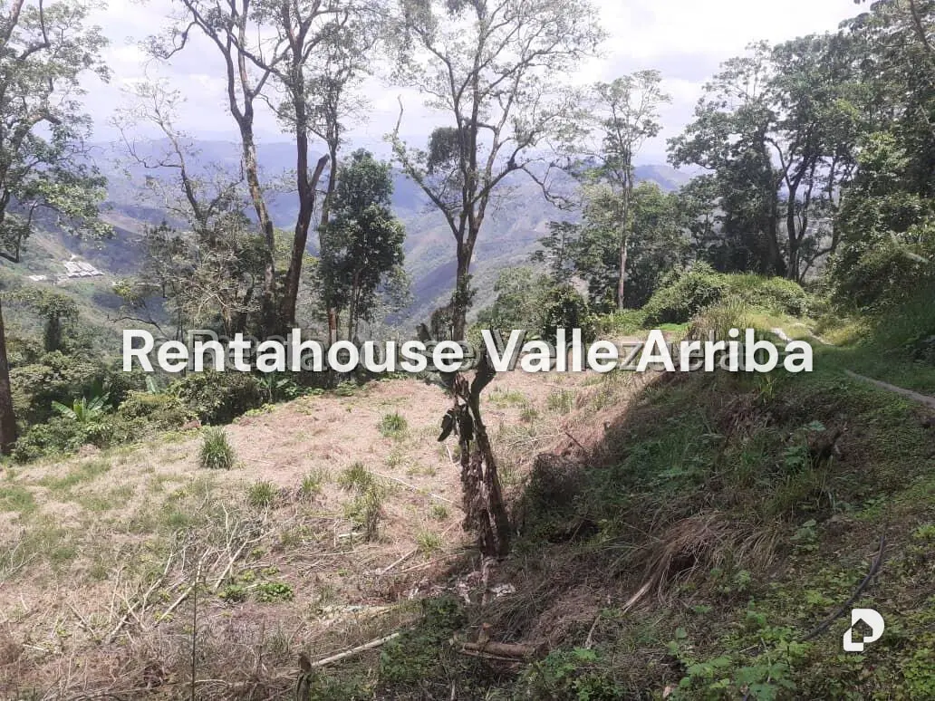Terreno en San Diego de los Altos, San Antonio de Los Altos – 6