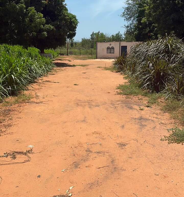 Terreno en Maracaibo - 1