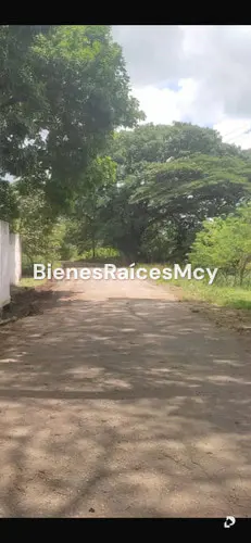 Finca en Tocuyito – 5