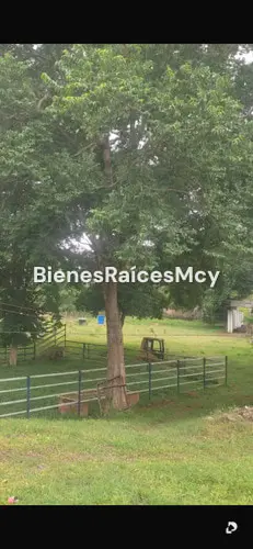 Finca en Tocuyito – 8