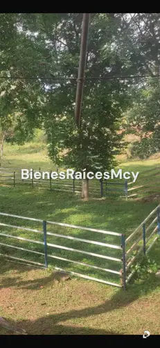 Finca en Tocuyito – 2