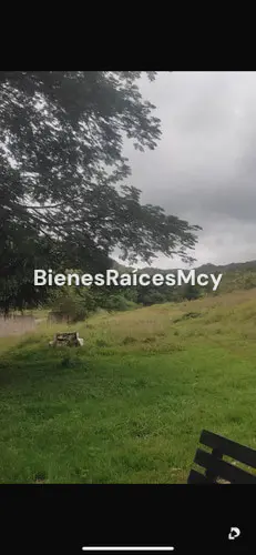 Finca en Tocuyito – 12