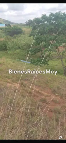 Finca en Tocuyito – 4