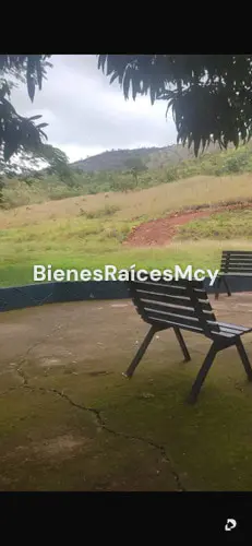 Finca en Tocuyito – 10